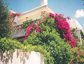 House view