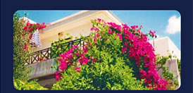 www.liemola.com
