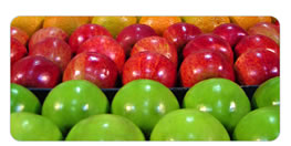 www.liemola.com